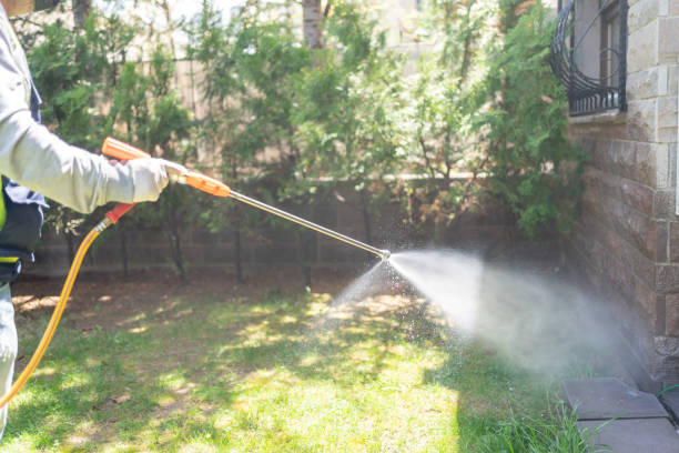 Best Organic or Eco-Friendly Pest Control  in Marksville, LA